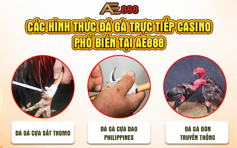 Hình Thức Đá Gà Trực Tiếp Casino Phổ Biến