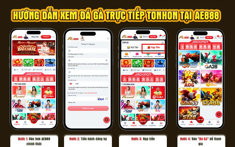 Hướng Dẫn Xem Đá Gà Trực Tiếp Tonhon